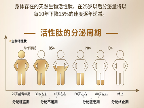 海参肽修复胰岛细胞是真的吗？维萃美海参小分子活性肽如何