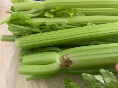 高血压吃什么水果和蔬菜降压最快，降血压十大水果蔬菜排行榜