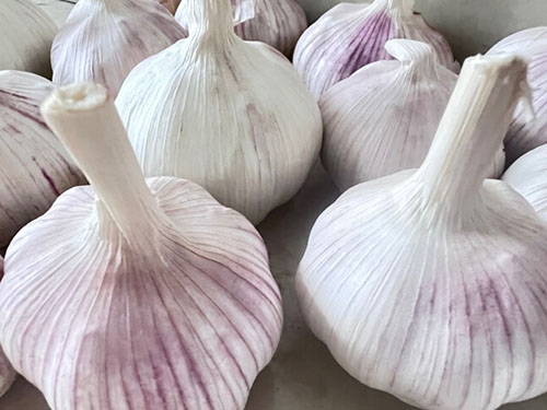 大蒜放冰箱冷藏可以吗 叶菜怎样长期保存
