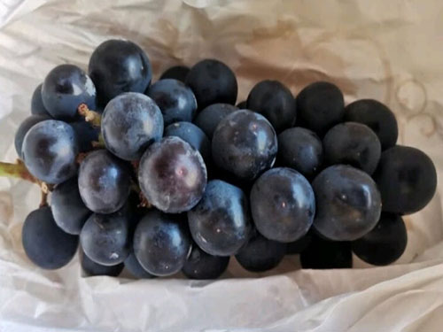 最傷腎的三種水果 腎不好吃什么補腎最好