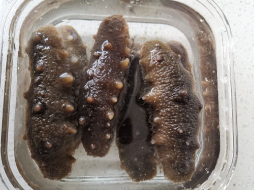 男人必吃的十大补肾菜 男人补肾吃什么比较好
