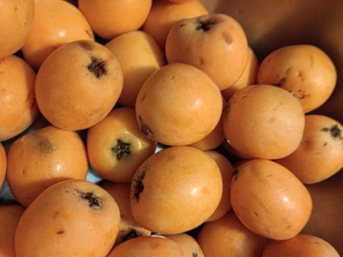 吃什么止咳平喘效果最好 十大止咳化痰平喘食物