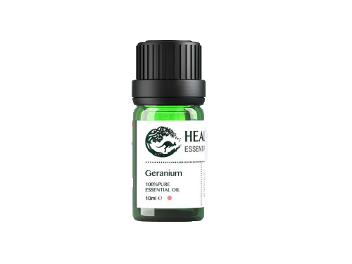 天竺葵精油的七大功效，详解天竺葵精油的几大功效
