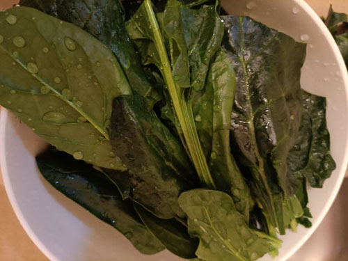 多吃什么有助于受孕 盘点备孕期间多吃些什么食物易怀孕