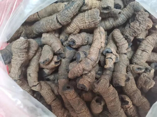 女人吃巴戟天的好处：揭秘传统养生宝藏