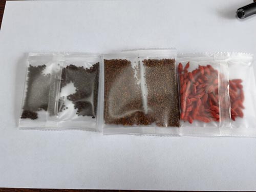菟丝子的功效与作用 菟丝子泡水喝能提高性功能吗