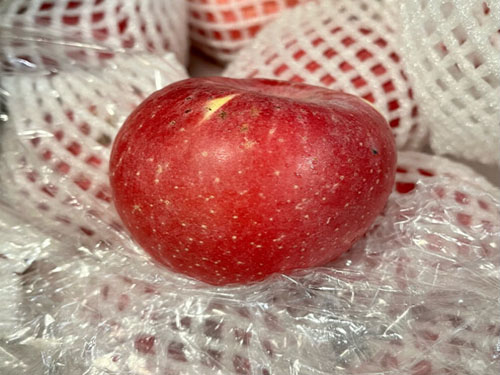 秋天吃什么滋润皮肤，滋润皮肤的食物排行榜