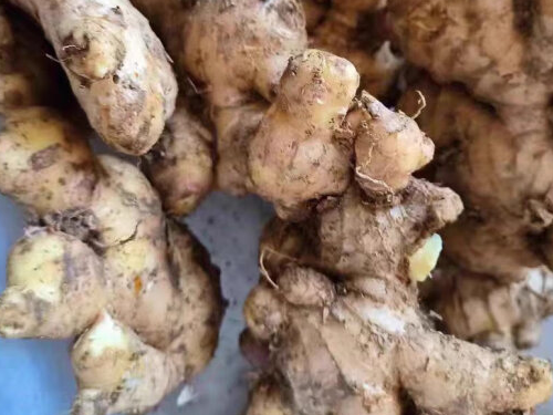 十大祛寒湿食物 盘点十大祛寒湿食物