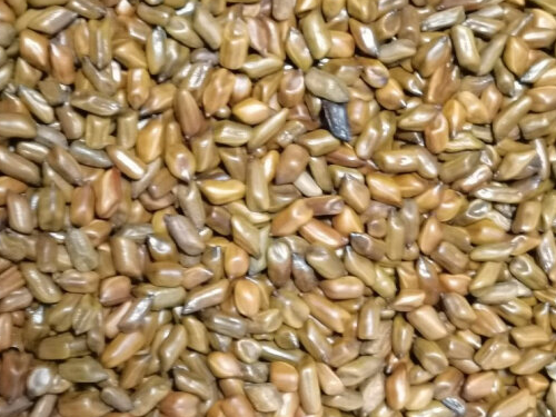 中药减肥熏蒸美白配方，8种中药熏蒸减肥
