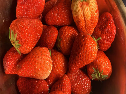 夏季怎樣可以快速減肥瘦身 盤點夏季減肥減脂6大攻略