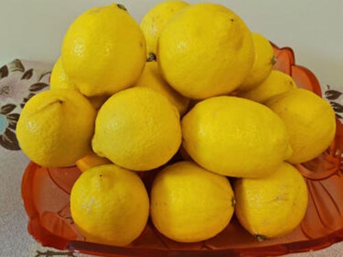 胃口不好吃什么 开胃的食物有哪些