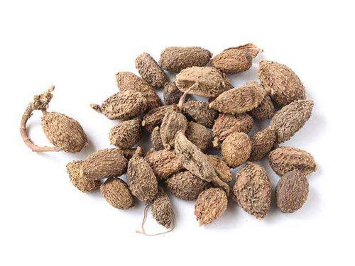砂仁的功效与作用及食用方法