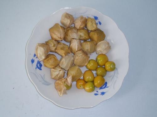 姑鸟果皮的作???