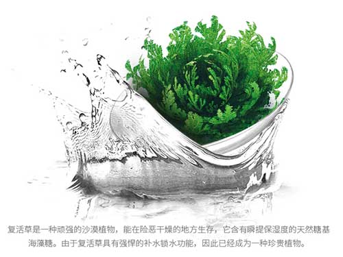 用完ZEDD复活草面膜后，?€极旱”肌肤竟然嫩得出???