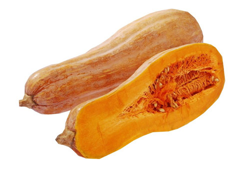 养精的食物有哪些