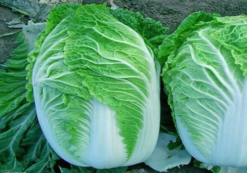 什??食物易消化吸???
