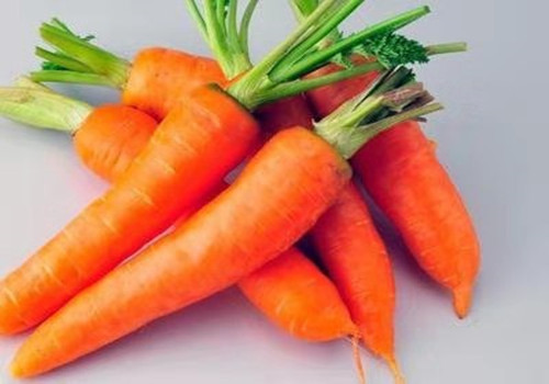 哪些食物可以降低血??