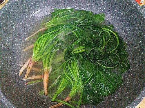 野生苦菜根的功效与作用