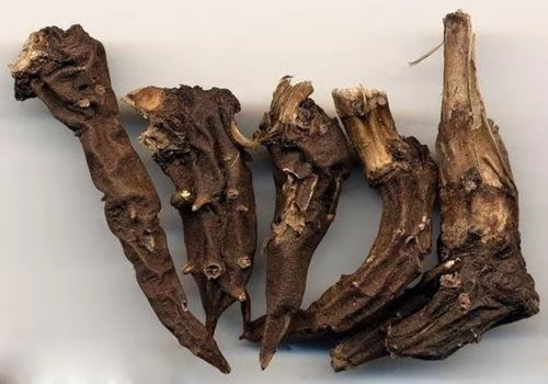 川乌的功效与作用及禁???