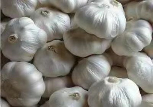 降低血??的食物有哪些
