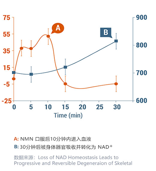 nmn抗衰老药有副作用???