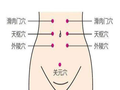 滑肉门的功效与作???