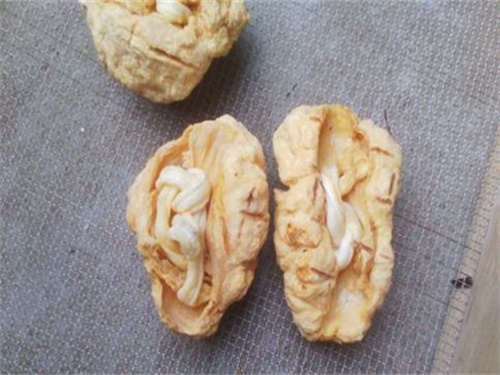 胎盘有什么用