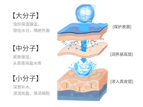 ARR六胜肽面膜