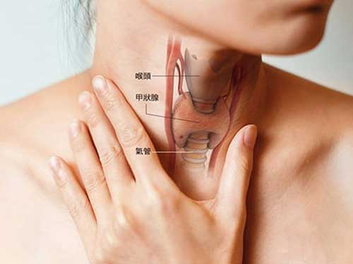 甲状腺素低怎么回事