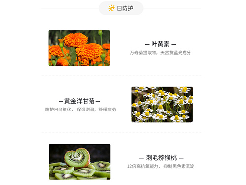 ARR叶黄素肌底液