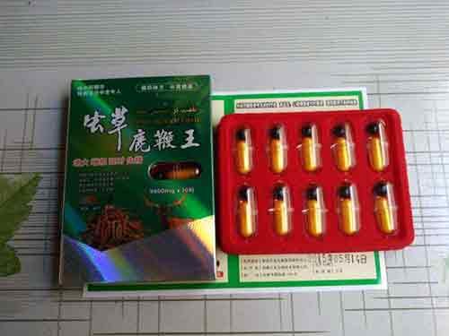 鹿鞭虫草怎么样