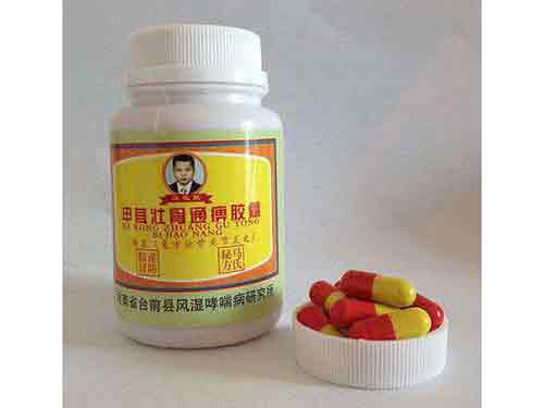 甲茸壮骨通痹胶囊成分