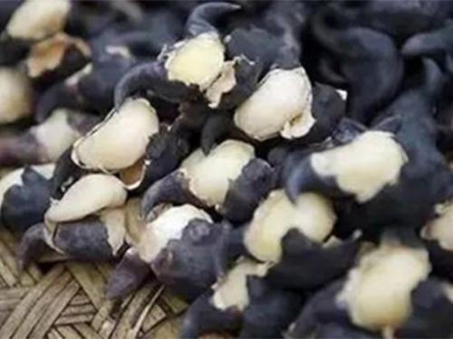菱角怎么吃