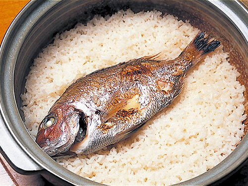 鱼是发物吗