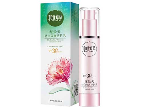 相宜本草红景天的作用