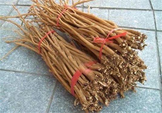 一 ?条的功效与作用?€