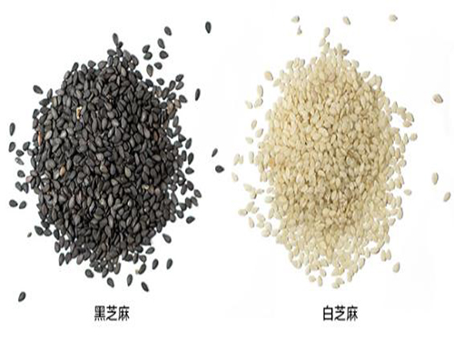 芝麻热量