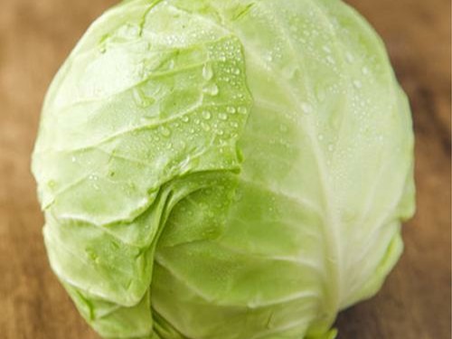包菜可以生吃吗