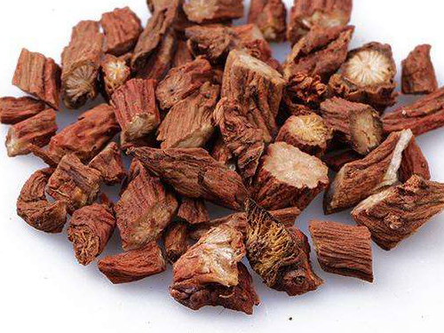 紫丹参的功效与作用