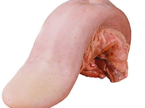 猪舌头的营养价值与功效