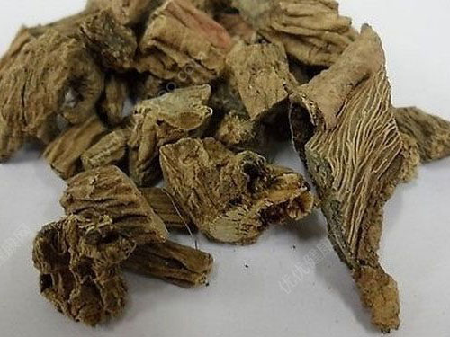 川断的功效与作用