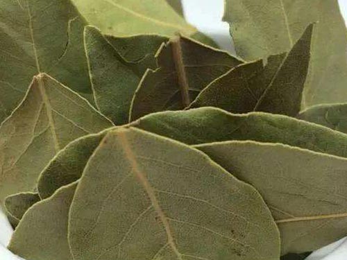 香叶的功效与作用