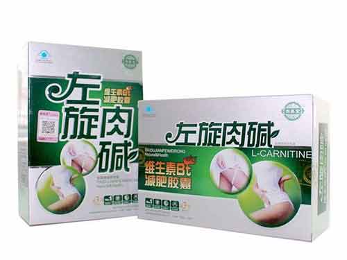 左旋肉碱什么牌子好