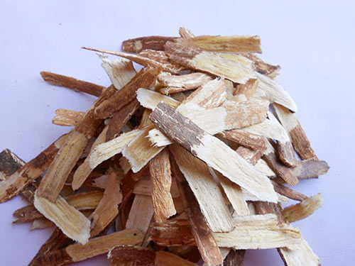 红芪的功效与作用及禁忌症