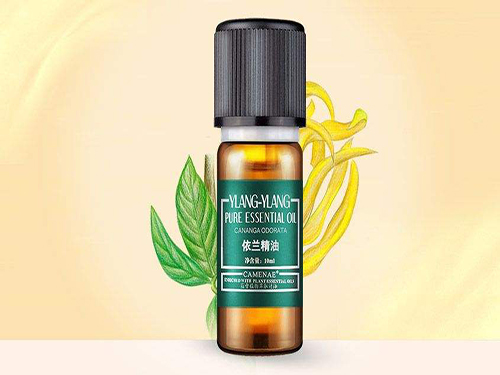 茉莉依兰精油的功效与作用
