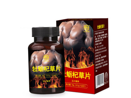 牡蛎虫草片的功效