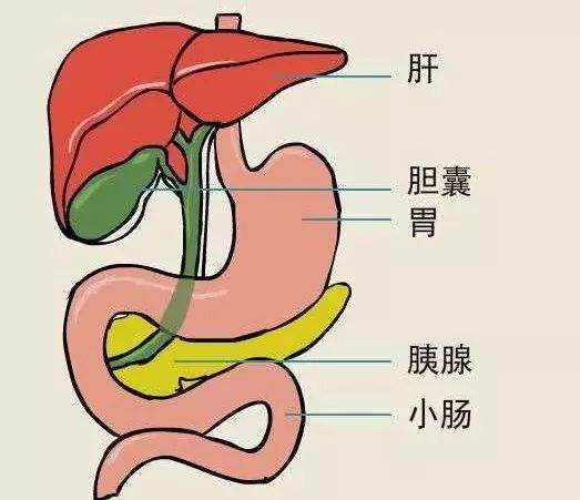 胆囊炎的症状