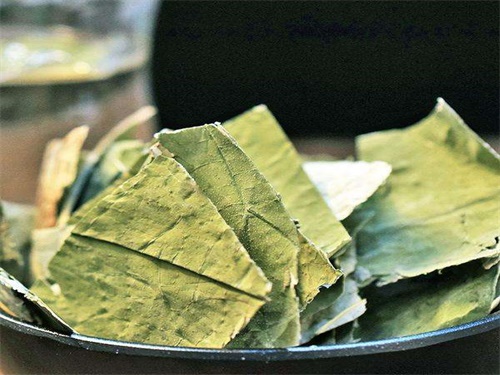 冬瓜皮煮水的作用