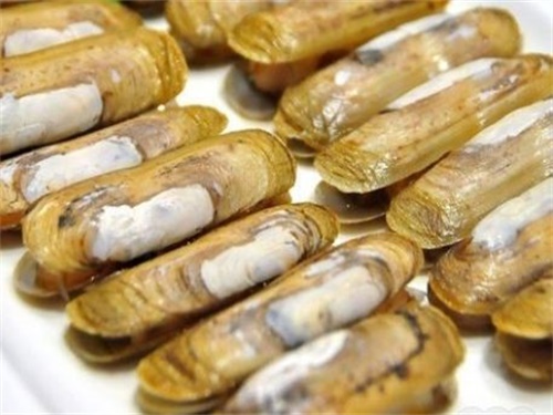 蛏子肚子里黑的能吃吗