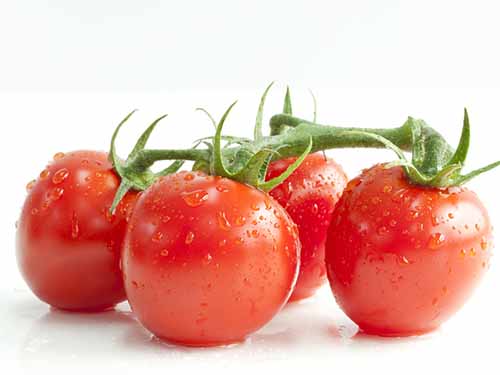 什??东西能解???